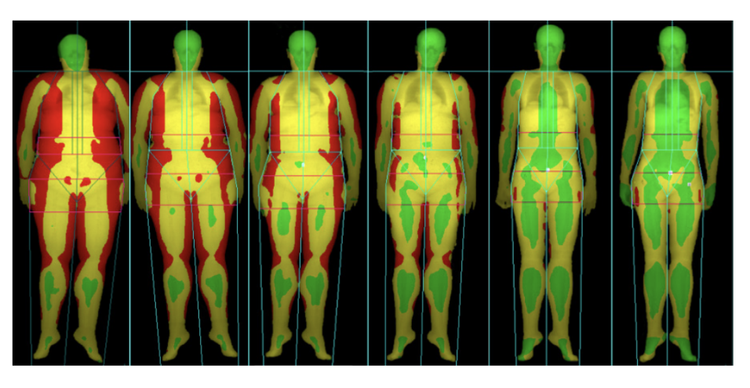 Bio-impédancemétrie: L’analyse segmentaire directe Vs La Mesure Corps Entier